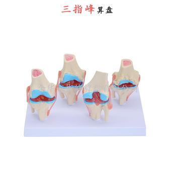 醫(yī)藥教學器材批發(fā)價格_義烏醫(yī)藥教學器材